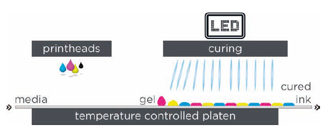 UV LED